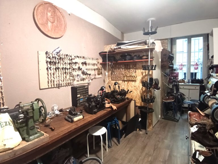 IMG 20240311 114234 511 768x576